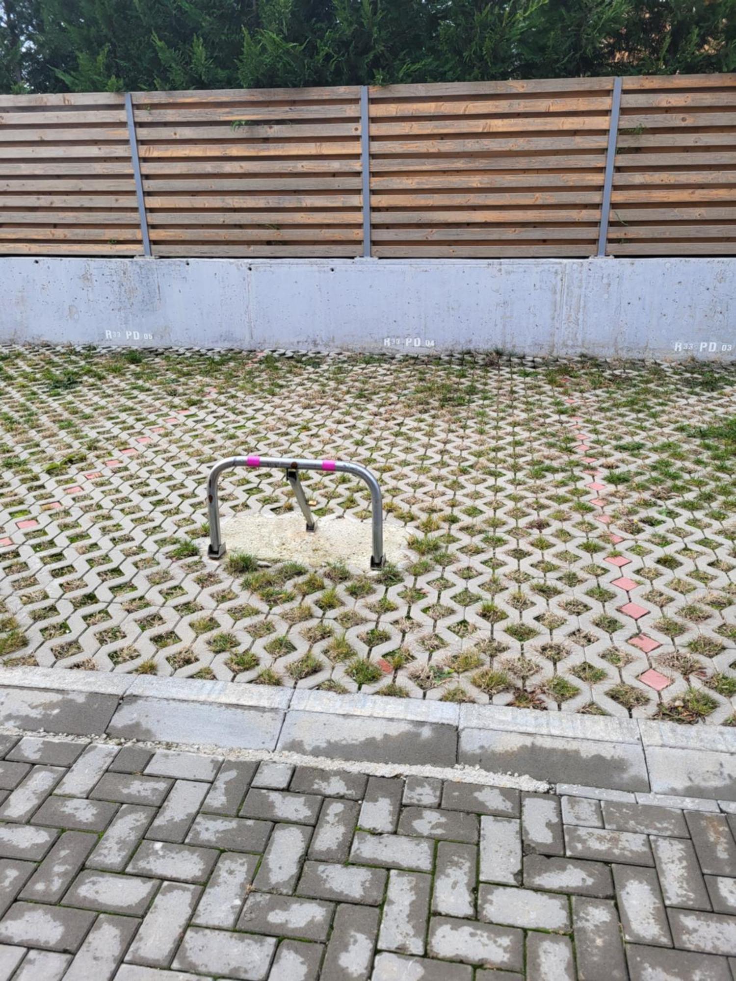 Sika Sunny Garden Apartment Arad Exterior foto
